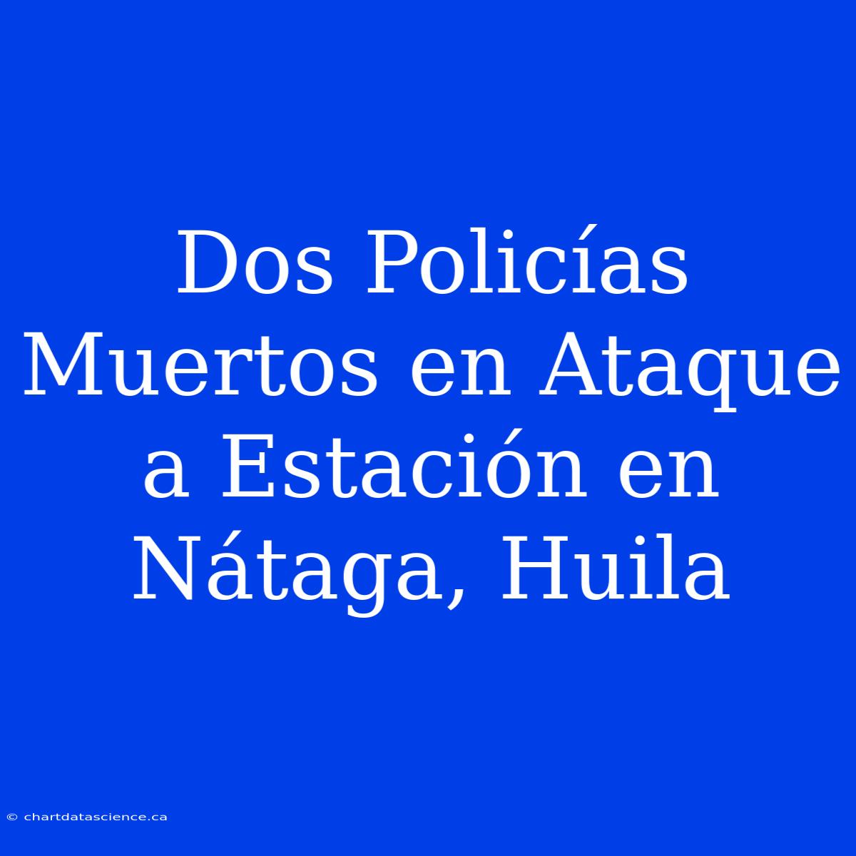 Dos Policías Muertos En Ataque A Estación En Nátaga, Huila