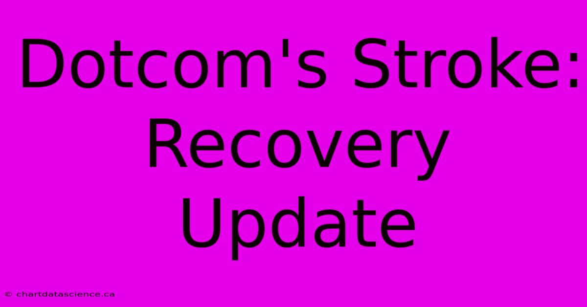 Dotcom's Stroke: Recovery Update