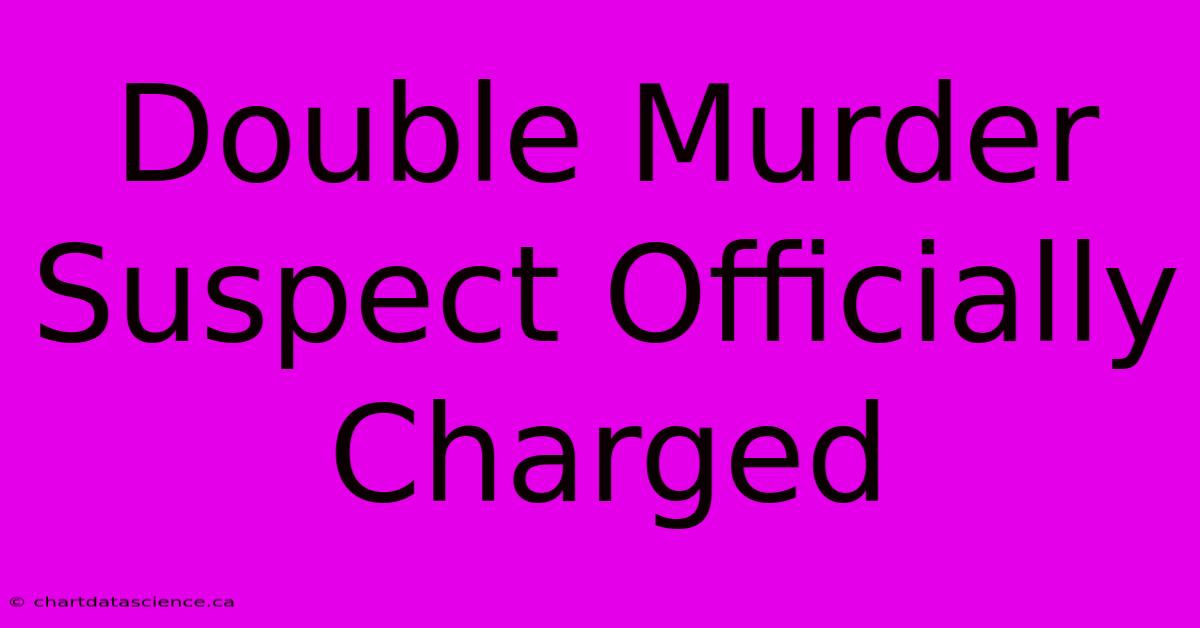 Double Murder Suspect Officially Charged