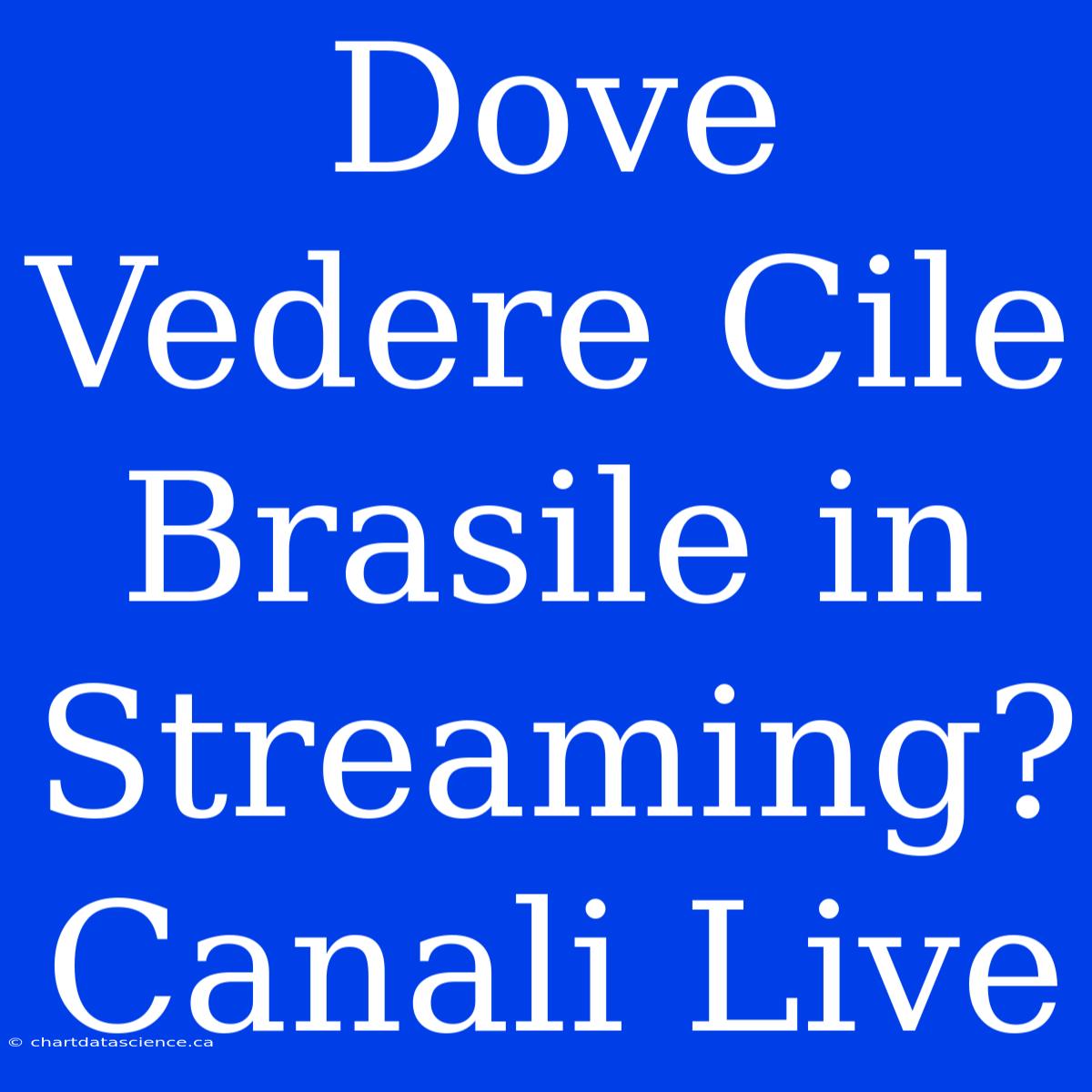 Dove Vedere Cile Brasile In Streaming? Canali Live