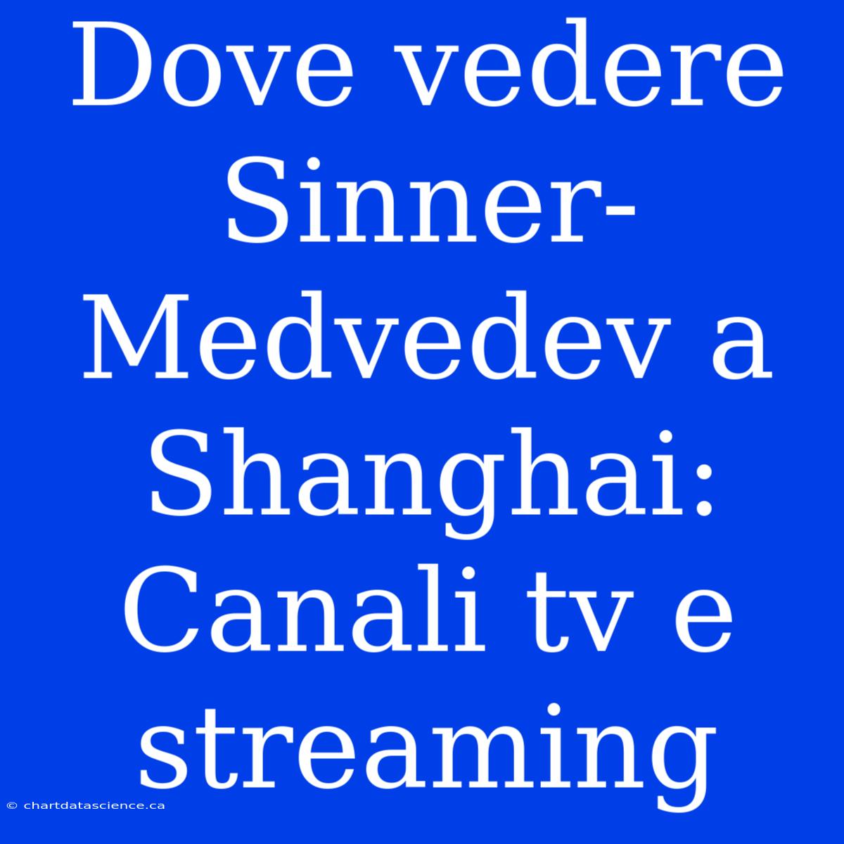 Dove Vedere Sinner-Medvedev A Shanghai: Canali Tv E Streaming