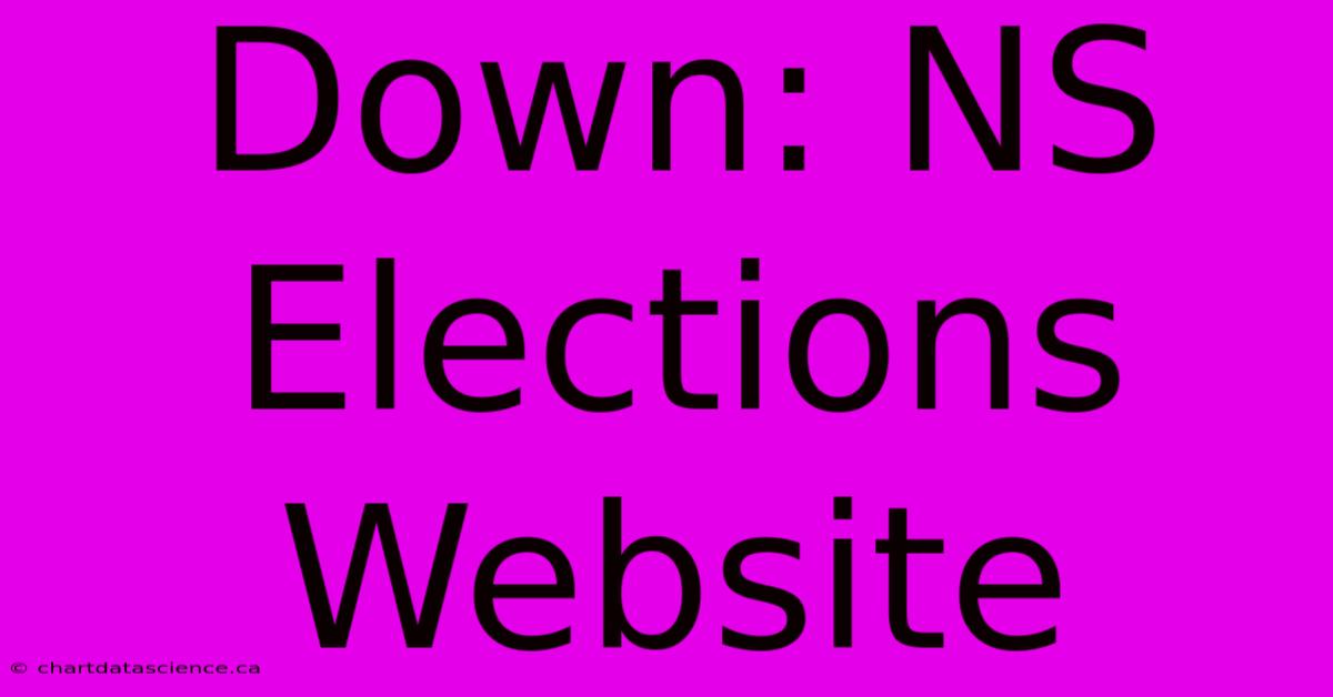 Down: NS Elections Website