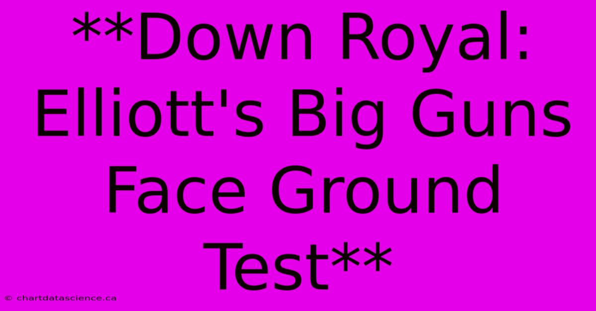 **Down Royal: Elliott's Big Guns Face Ground Test**