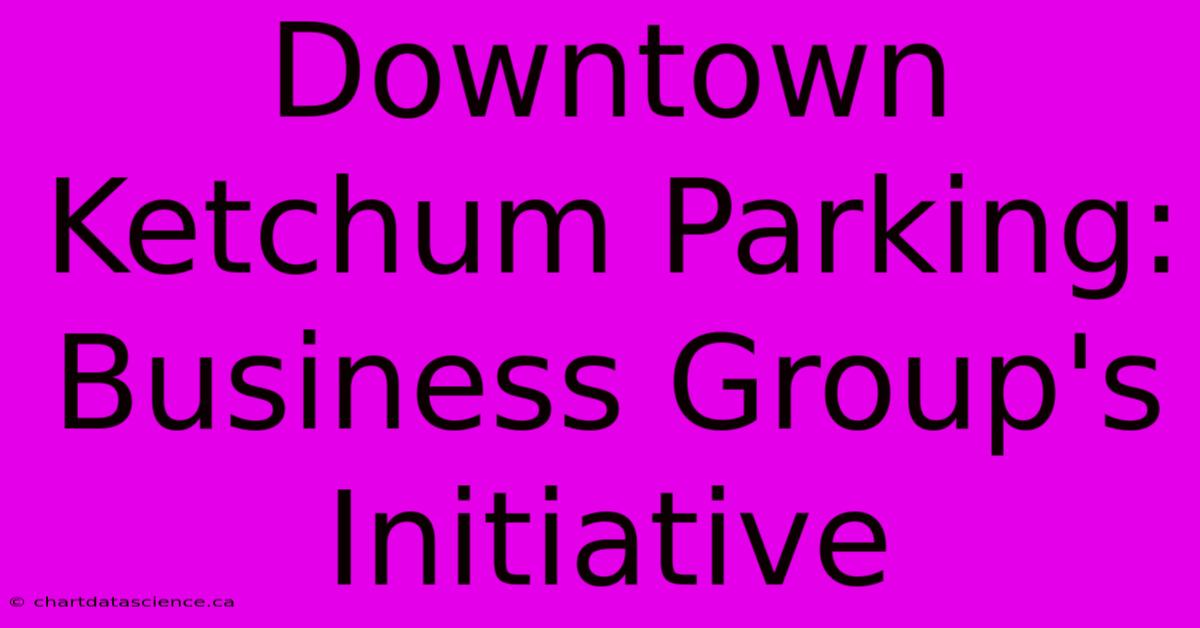 Downtown Ketchum Parking: Business Group's Initiative