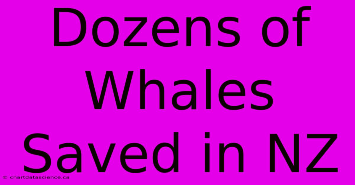 Dozens Of Whales Saved In NZ