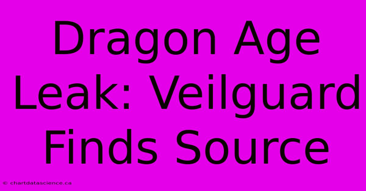 Dragon Age Leak: Veilguard Finds Source