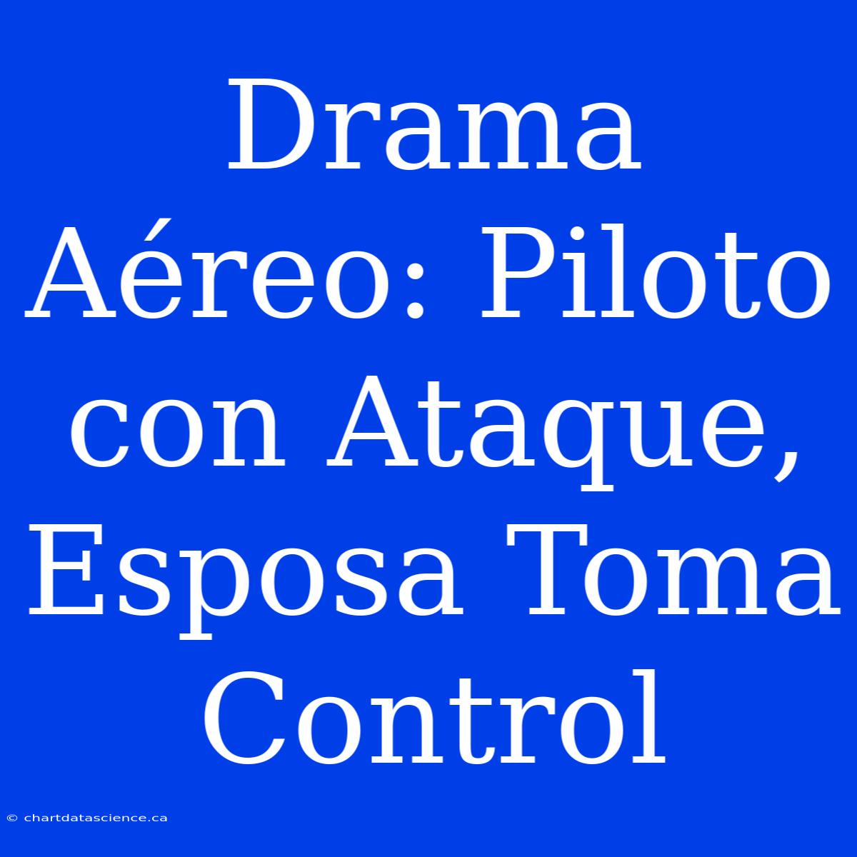 Drama Aéreo: Piloto Con Ataque, Esposa Toma Control