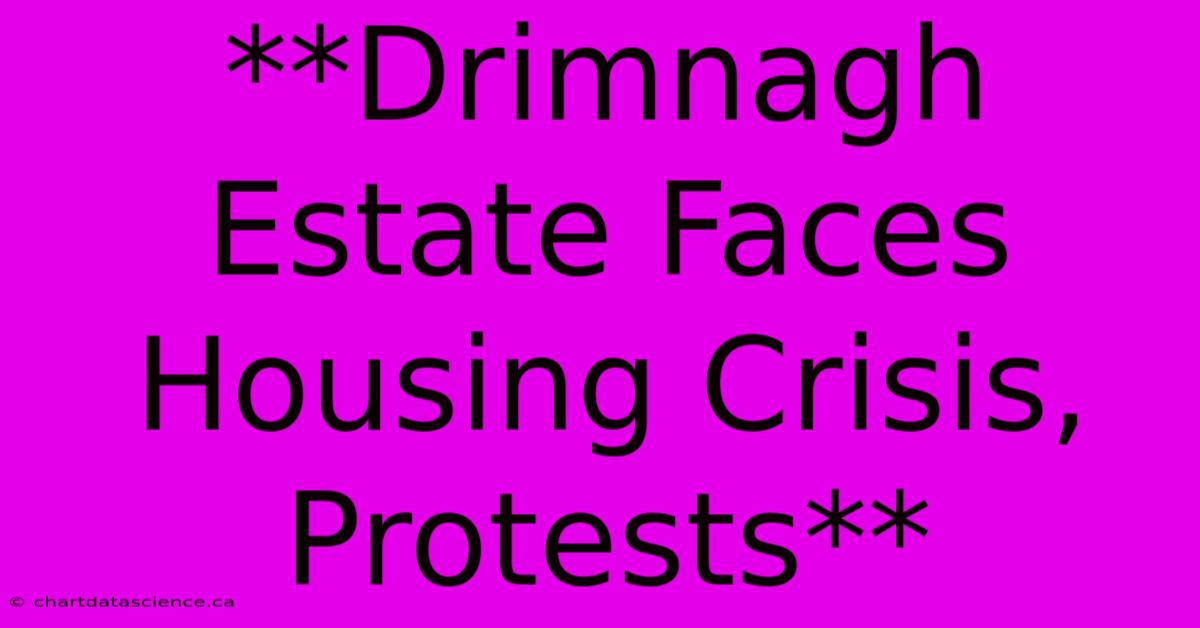 **Drimnagh Estate Faces Housing Crisis, Protests**