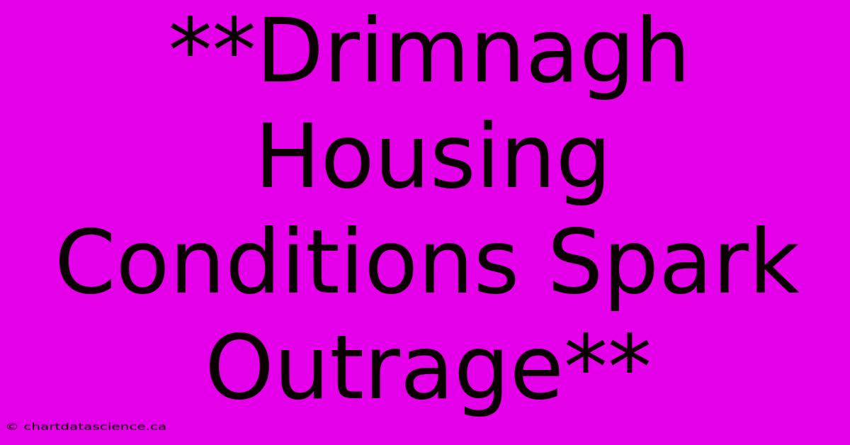 **Drimnagh Housing Conditions Spark Outrage**