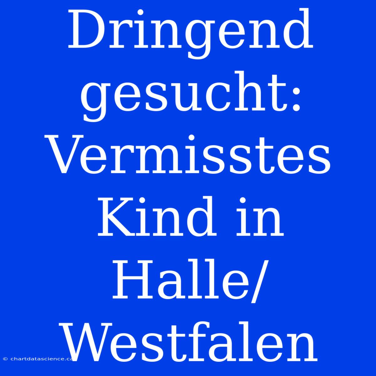 Dringend Gesucht: Vermisstes Kind In Halle/Westfalen