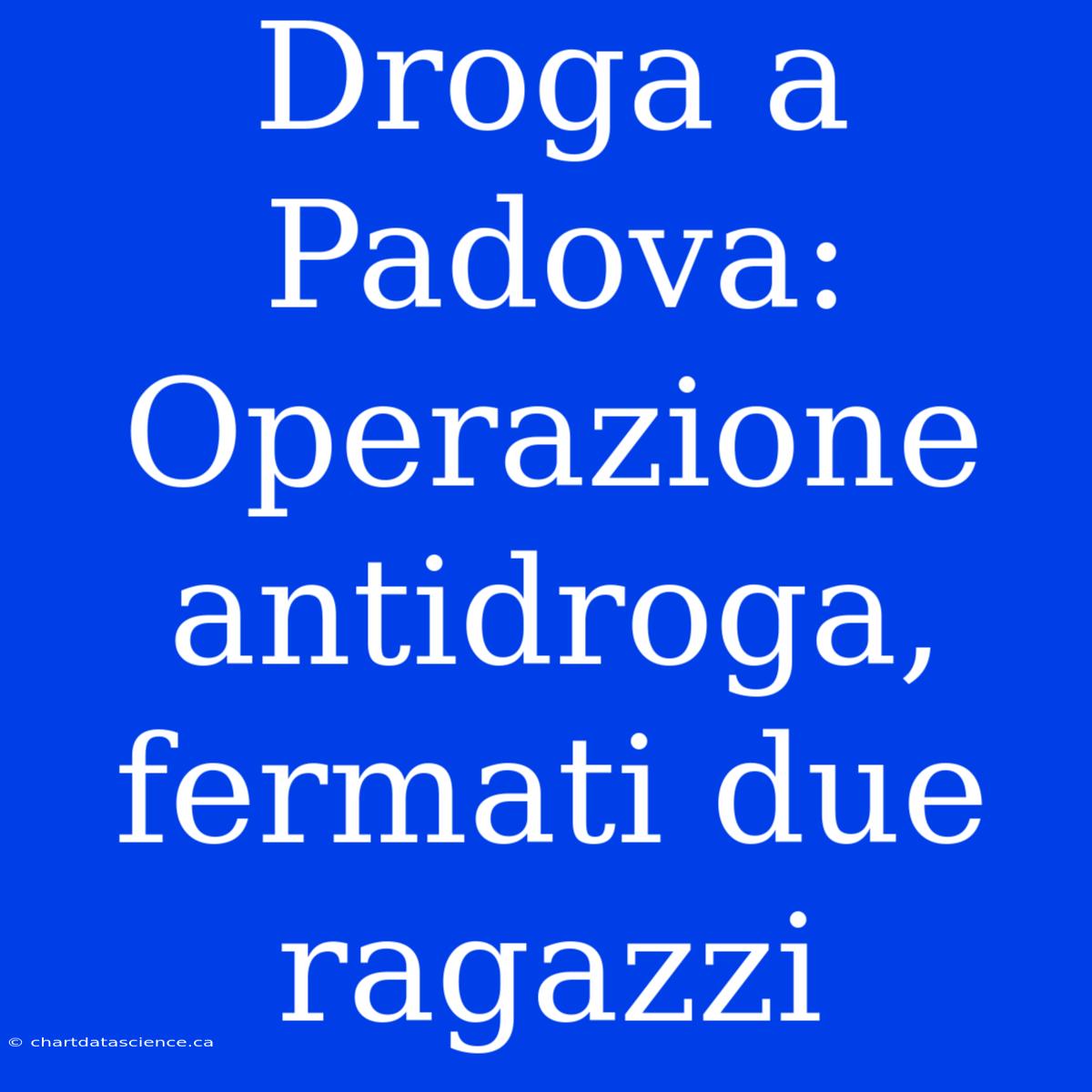 Droga A Padova: Operazione Antidroga, Fermati Due Ragazzi