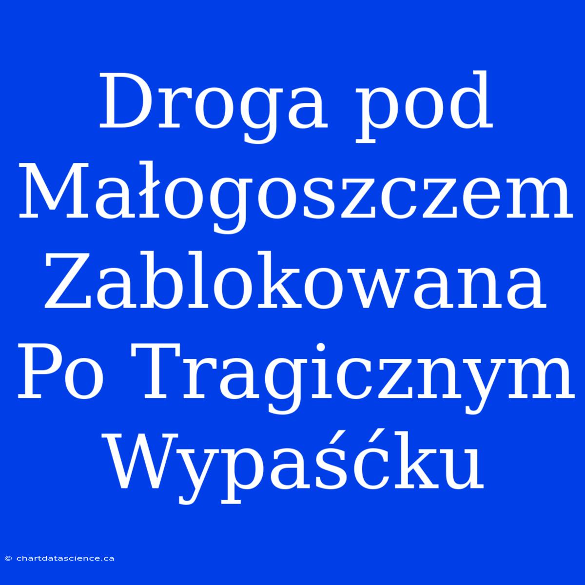 Droga Pod Małogoszczem Zablokowana Po Tragicznym Wypaśćku