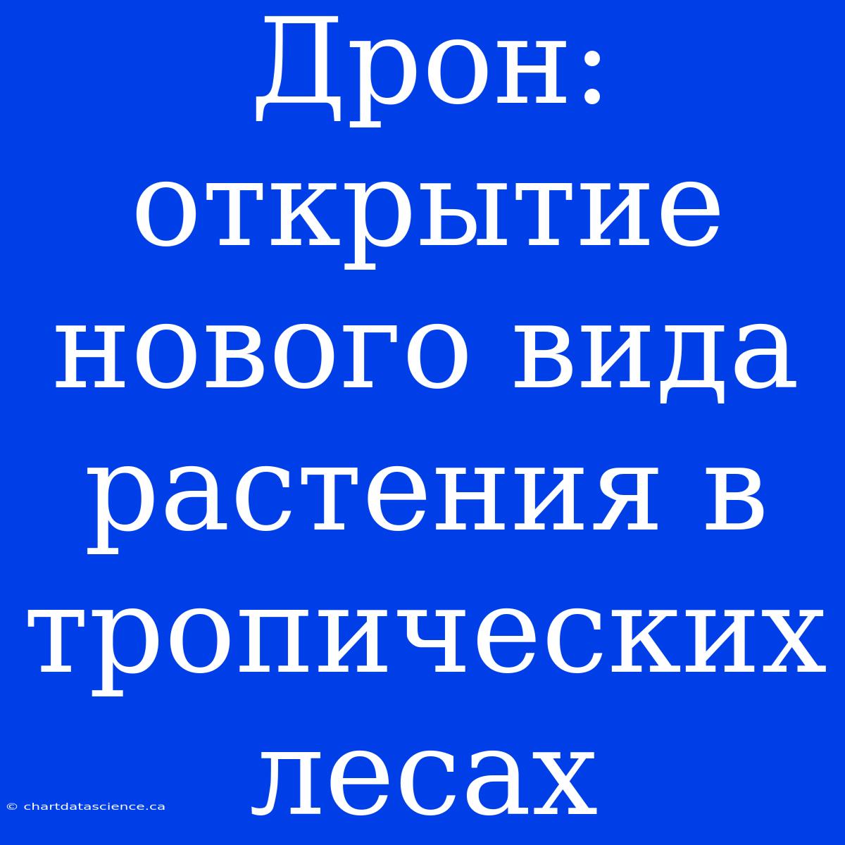 Дрон: Открытие Нового Вида Растения В Тропических Лесах