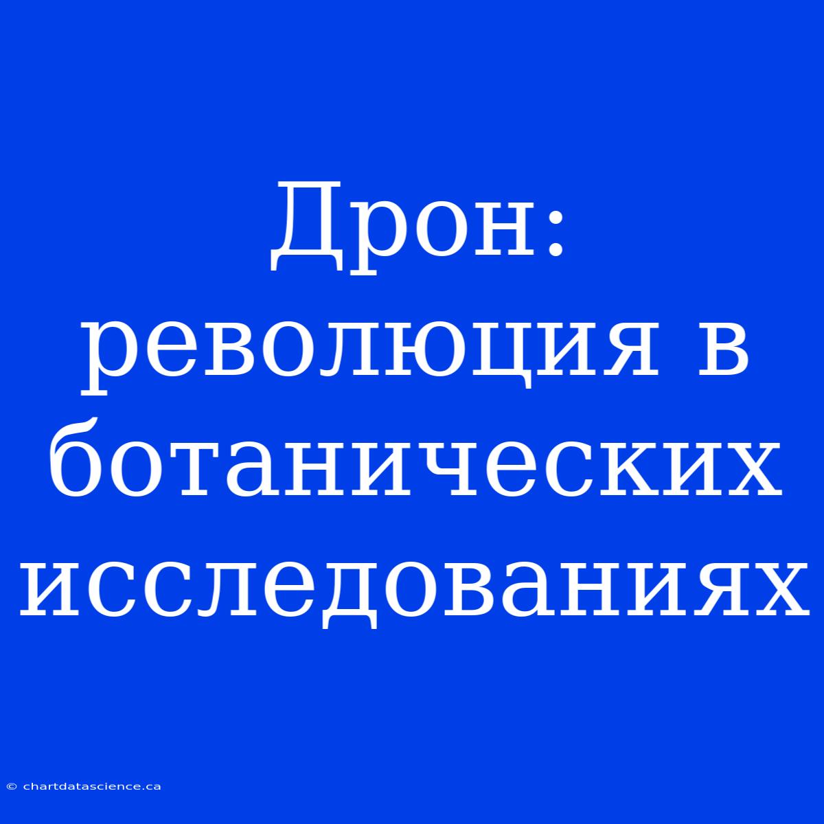 Дрон: Революция В Ботанических Исследованиях