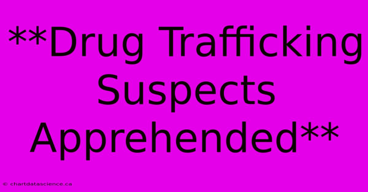 **Drug Trafficking Suspects Apprehended** 