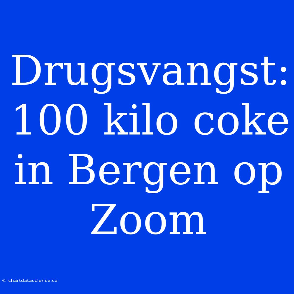 Drugsvangst: 100 Kilo Coke In Bergen Op Zoom