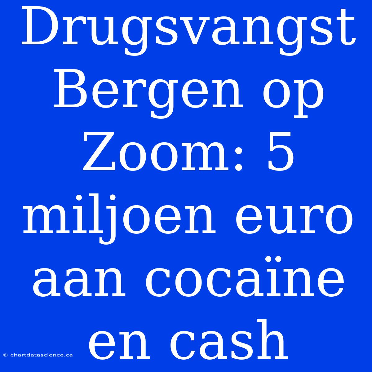 Drugsvangst Bergen Op Zoom: 5 Miljoen Euro Aan Cocaïne En Cash