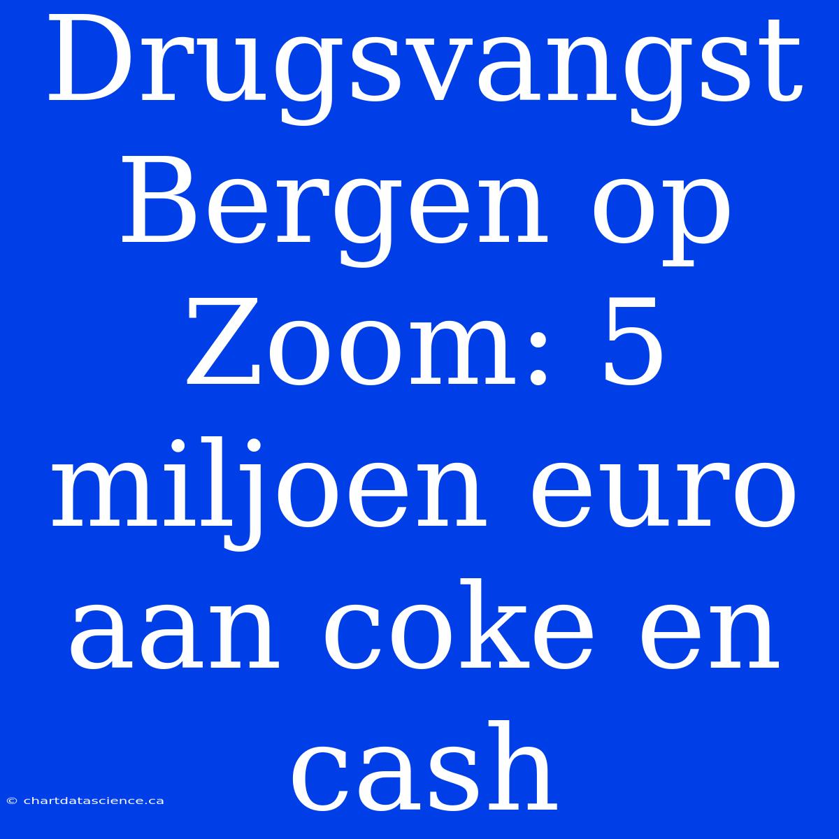 Drugsvangst Bergen Op Zoom: 5 Miljoen Euro Aan Coke En Cash