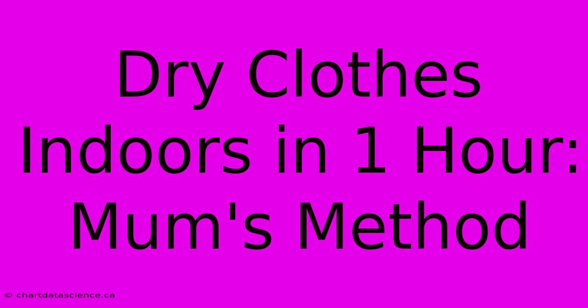 Dry Clothes Indoors In 1 Hour: Mum's Method