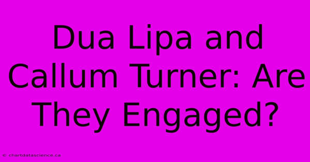 Dua Lipa And Callum Turner: Are They Engaged?