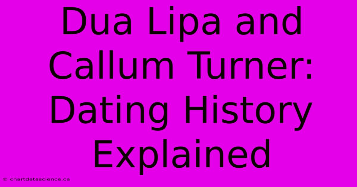 Dua Lipa And Callum Turner: Dating History Explained