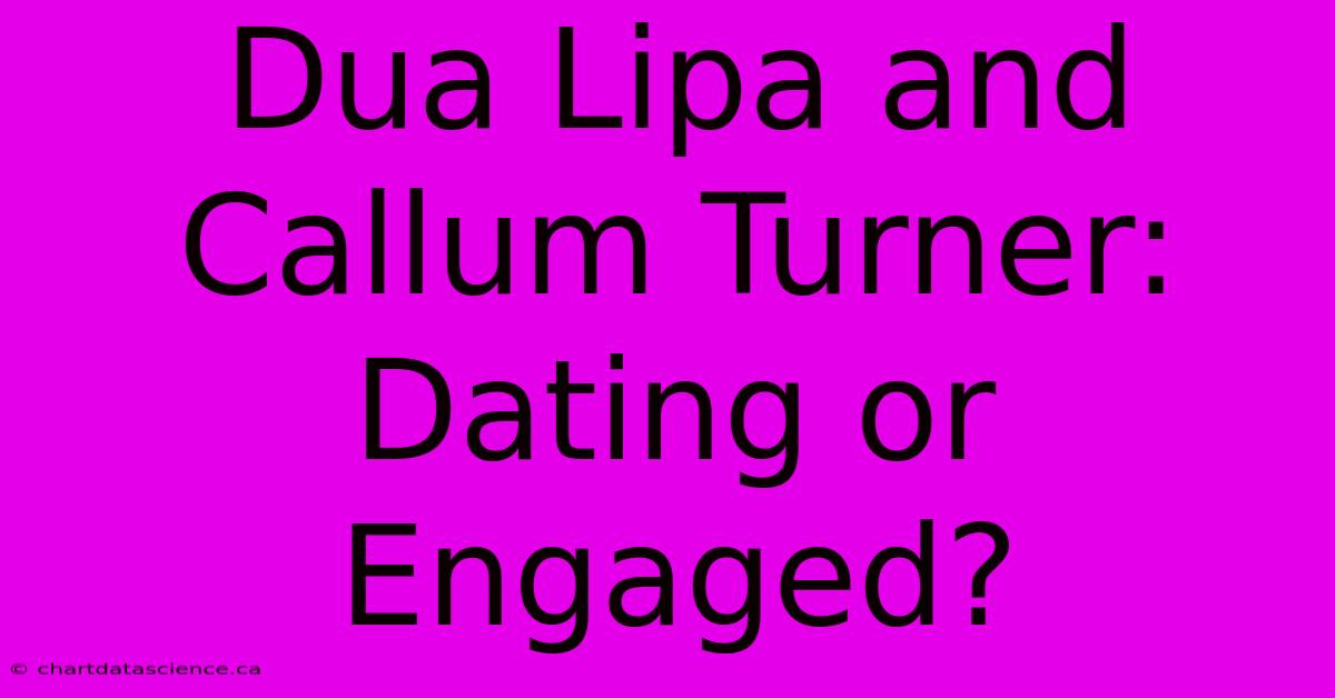 Dua Lipa And Callum Turner: Dating Or Engaged?