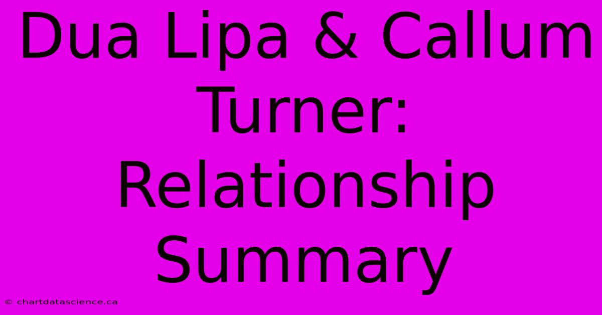 Dua Lipa & Callum Turner: Relationship Summary