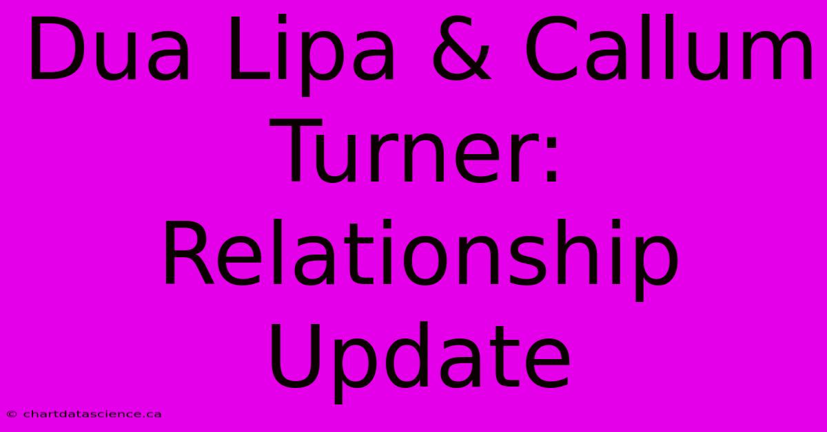 Dua Lipa & Callum Turner: Relationship Update