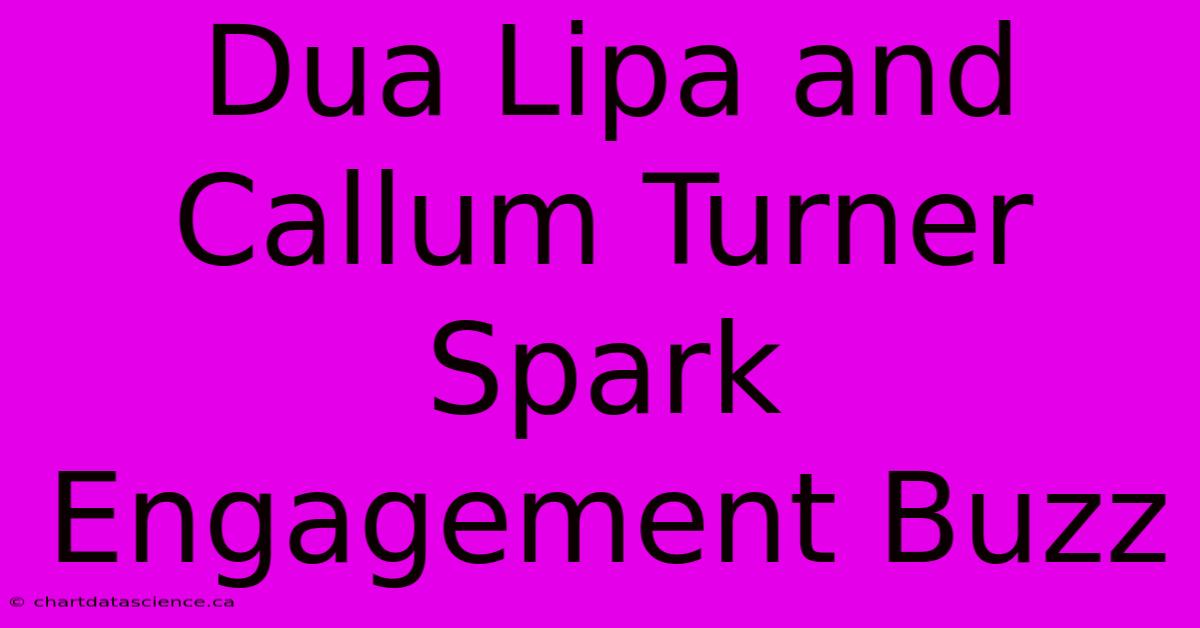 Dua Lipa And Callum Turner Spark Engagement Buzz