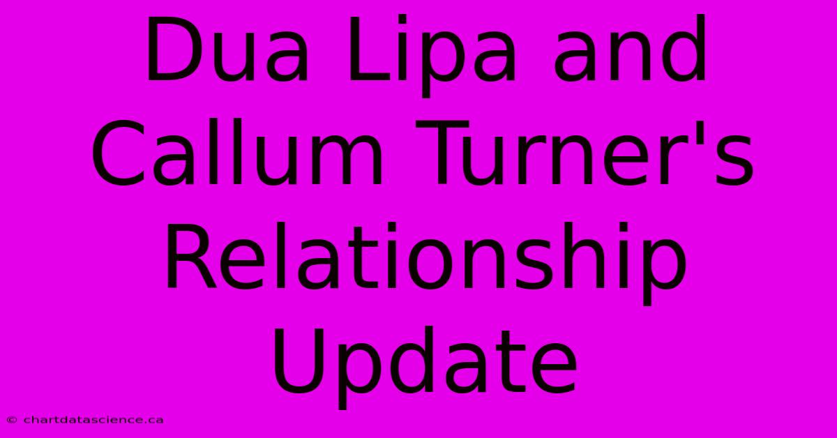 Dua Lipa And Callum Turner's Relationship Update