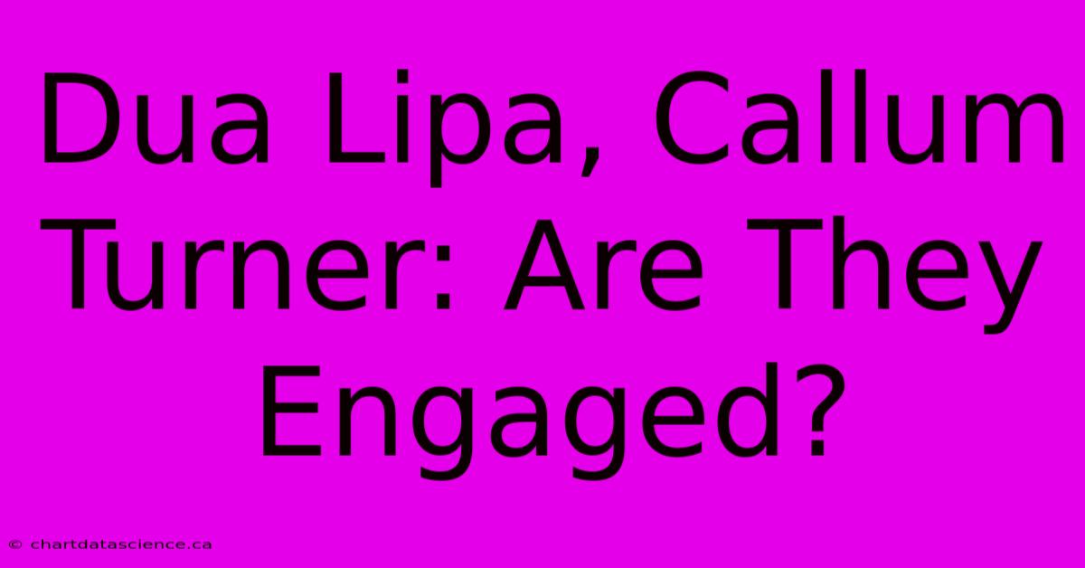 Dua Lipa, Callum Turner: Are They Engaged?