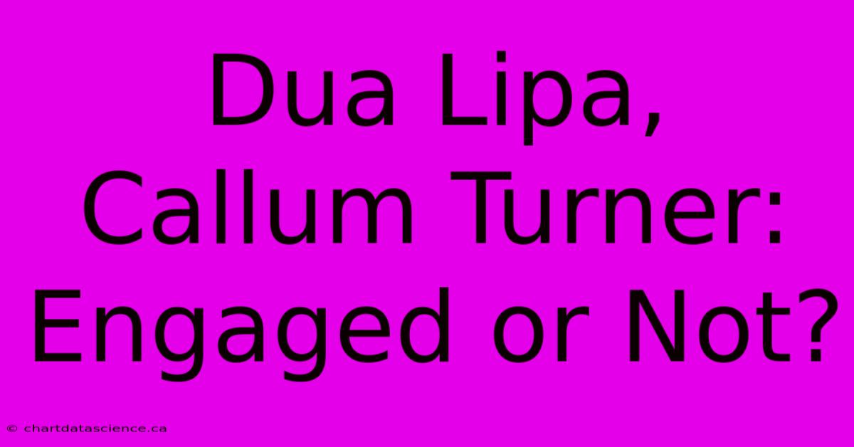 Dua Lipa, Callum Turner: Engaged Or Not?