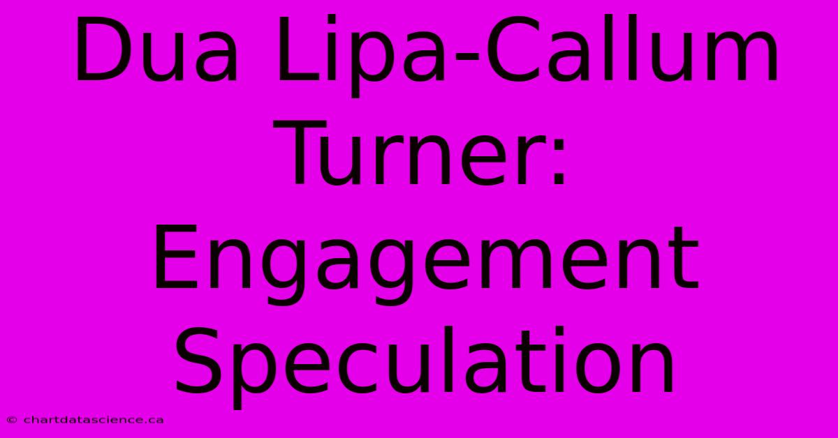 Dua Lipa-Callum Turner: Engagement Speculation