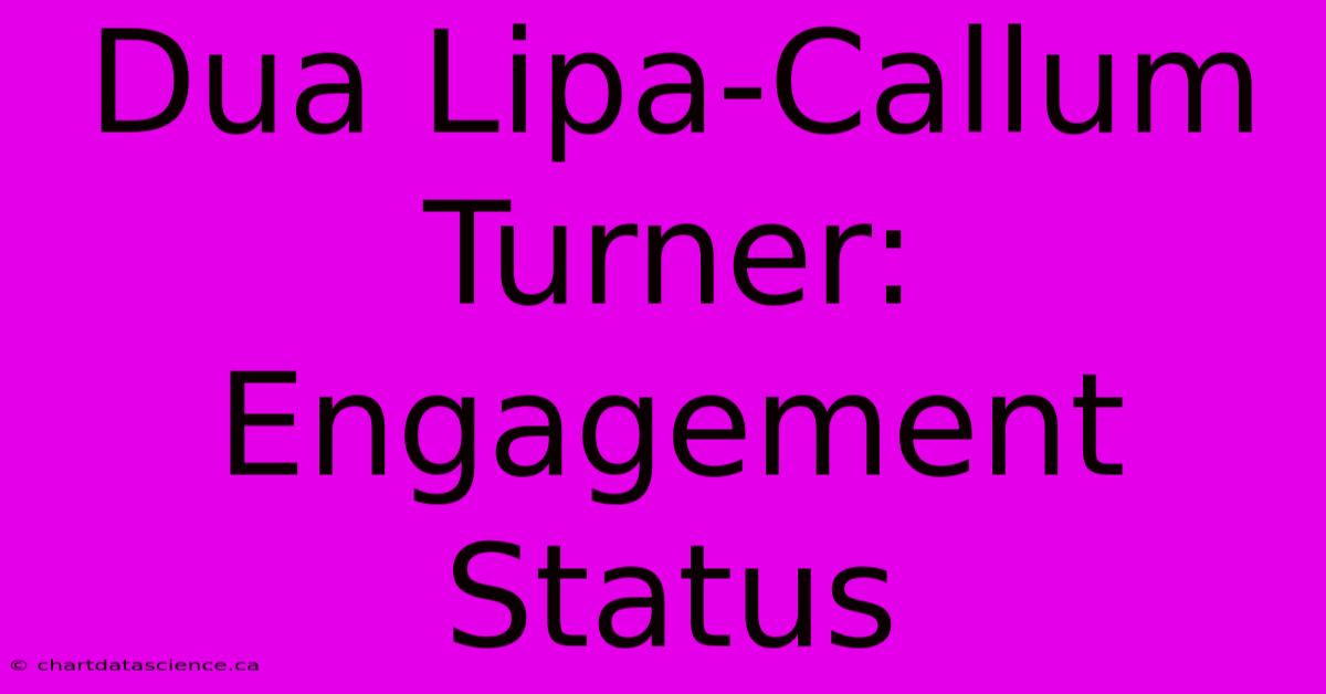 Dua Lipa-Callum Turner: Engagement Status