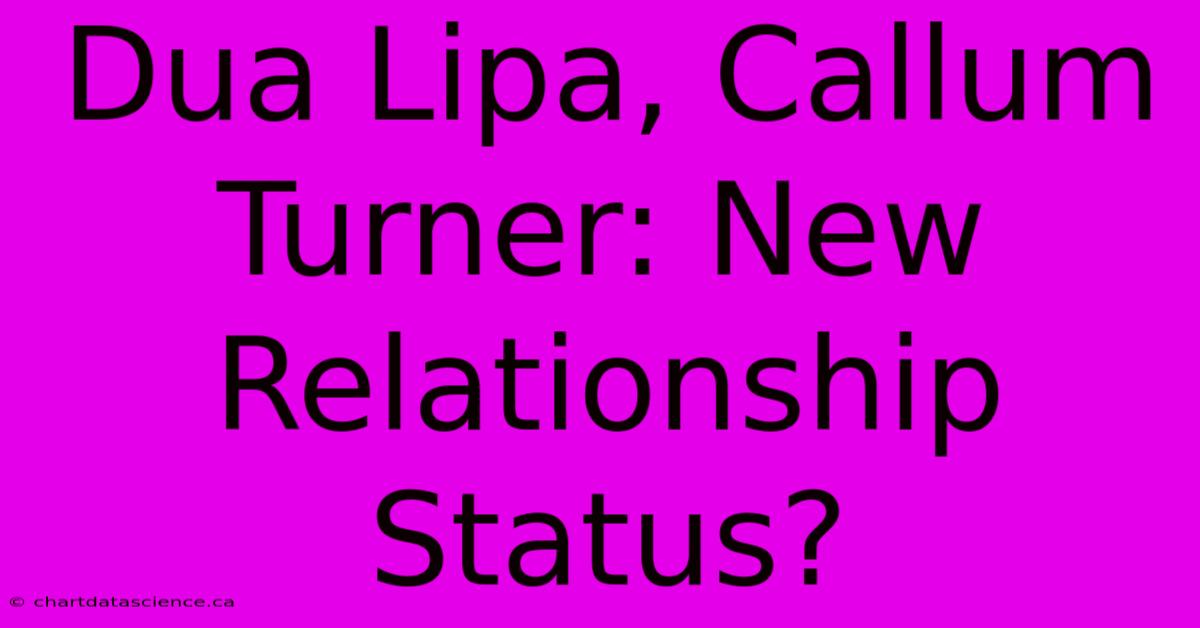 Dua Lipa, Callum Turner: New Relationship Status?