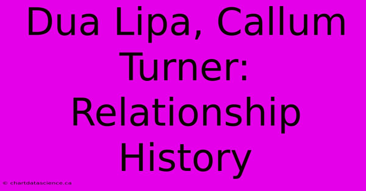 Dua Lipa, Callum Turner: Relationship History