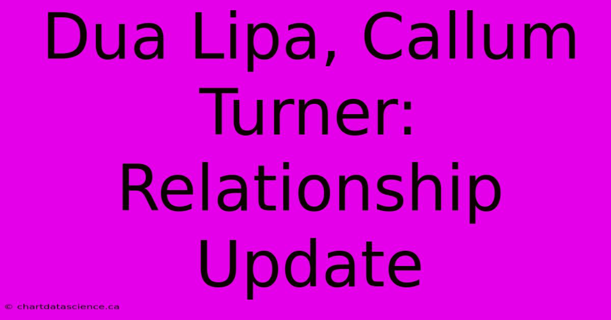 Dua Lipa, Callum Turner: Relationship Update