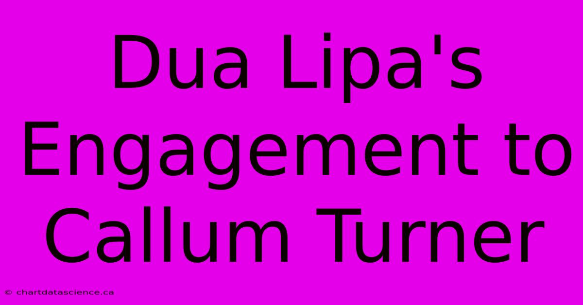 Dua Lipa's Engagement To Callum Turner