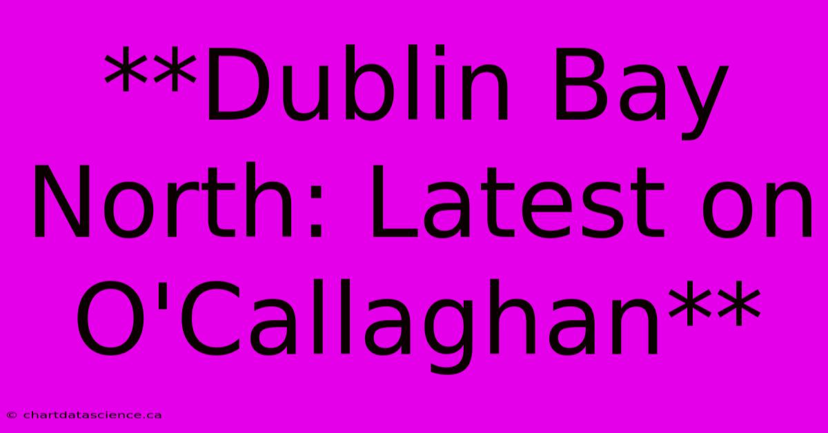 **Dublin Bay North: Latest On O'Callaghan**