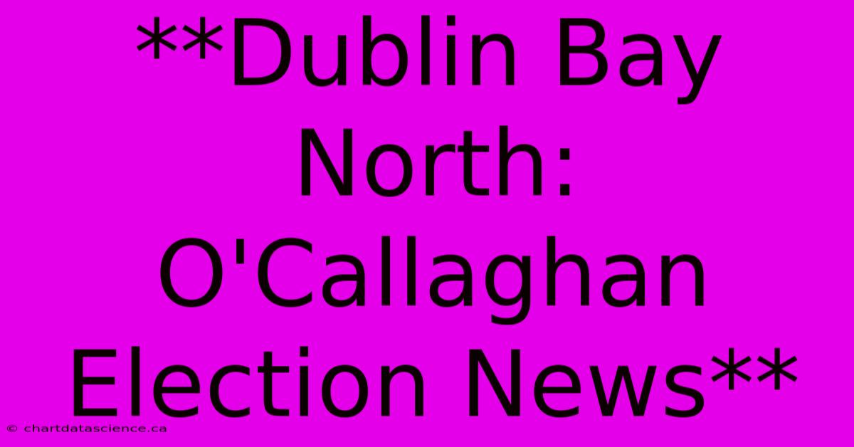 **Dublin Bay North: O'Callaghan Election News**