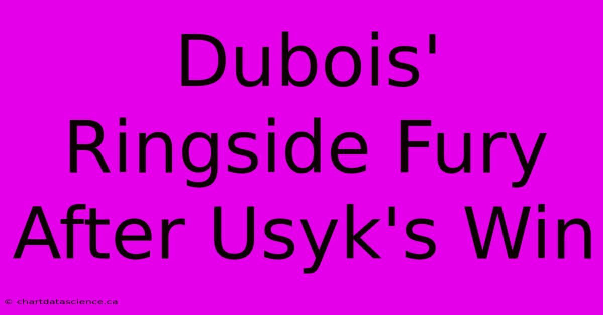 Dubois' Ringside Fury After Usyk's Win