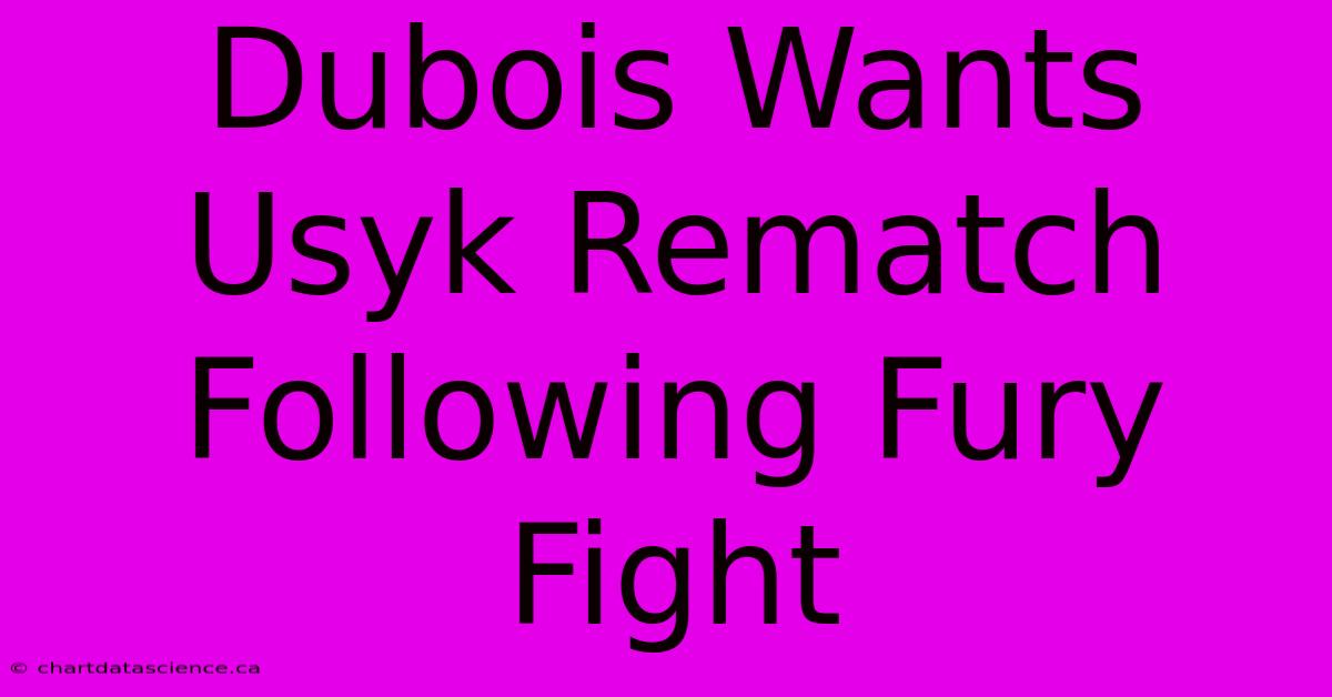 Dubois Wants Usyk Rematch Following Fury Fight