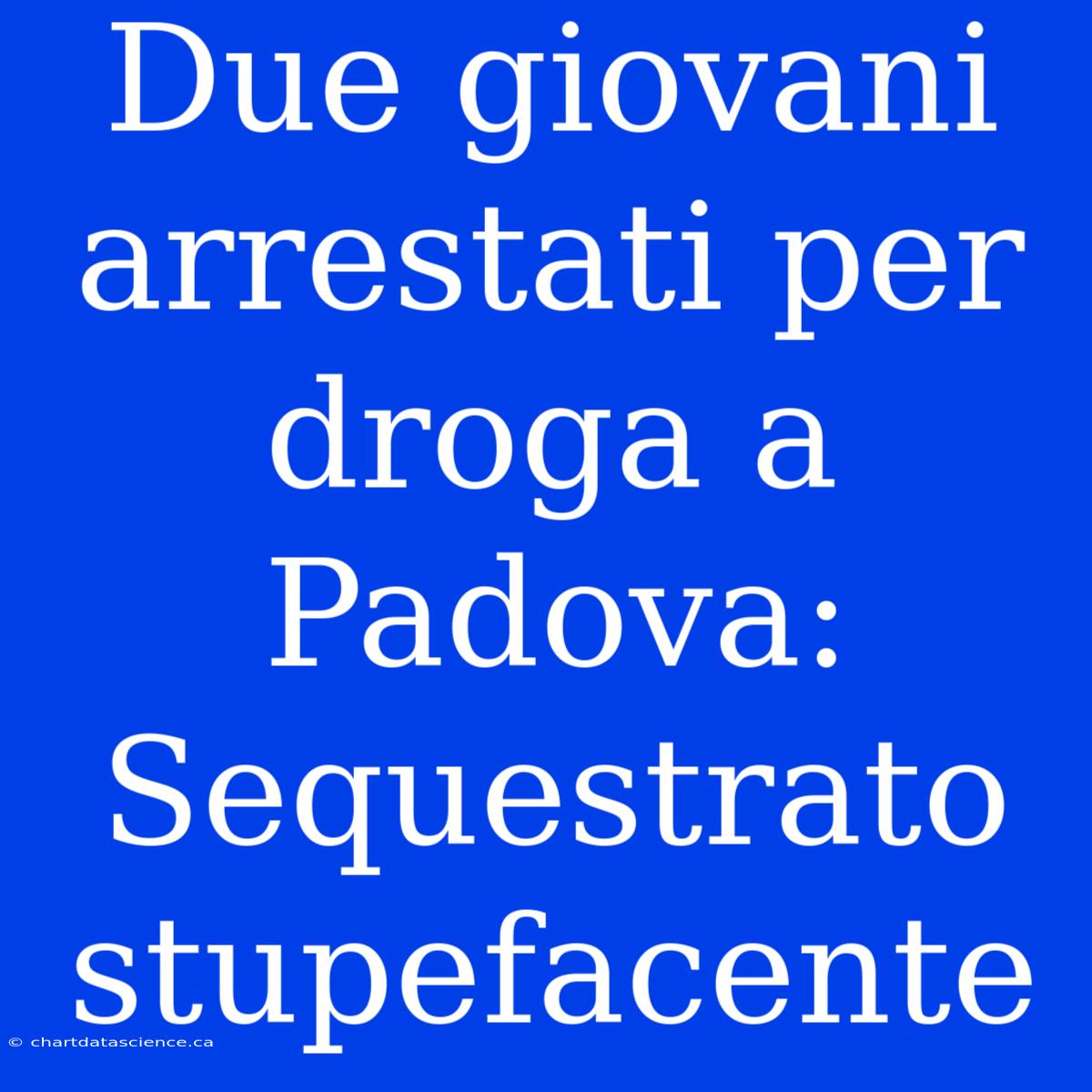 Due Giovani Arrestati Per Droga A Padova: Sequestrato Stupefacente