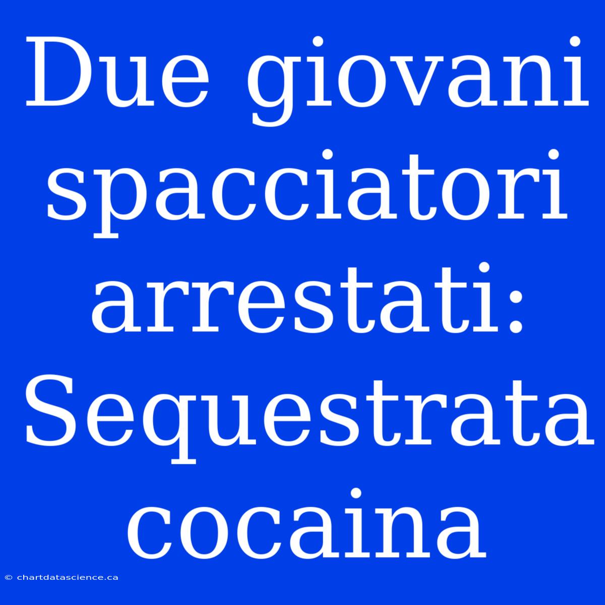 Due Giovani Spacciatori Arrestati: Sequestrata Cocaina