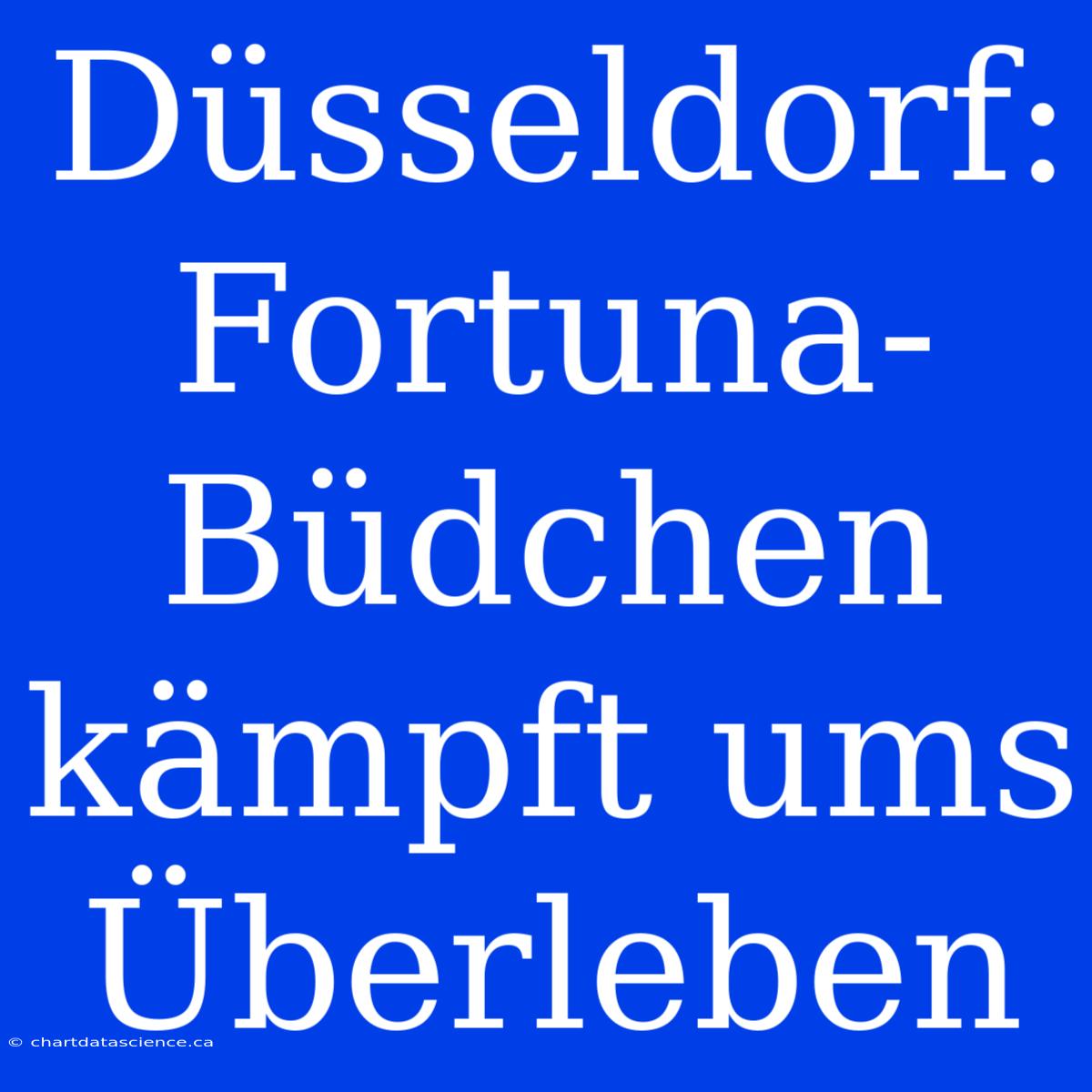 Düsseldorf: Fortuna-Büdchen Kämpft Ums Überleben