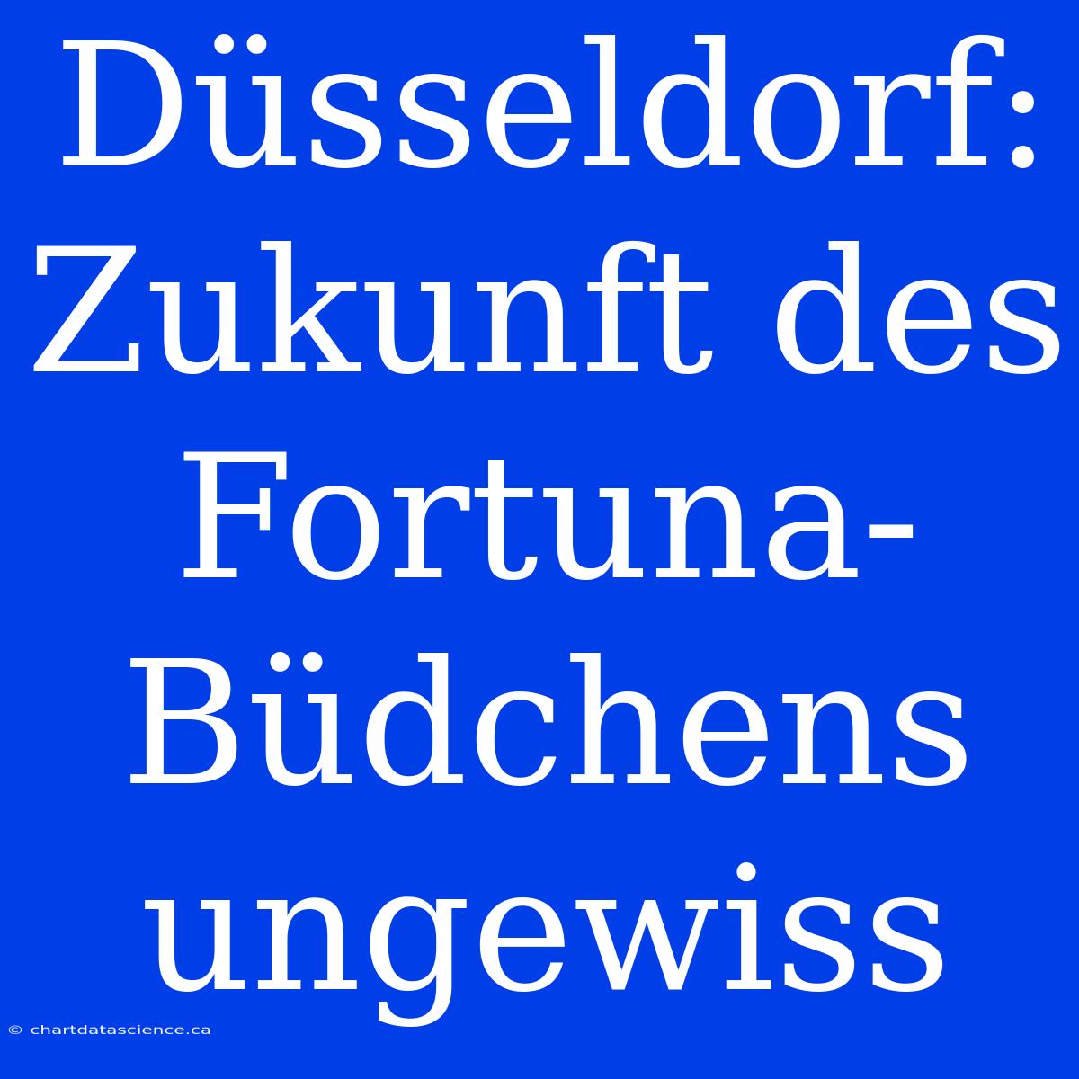 Düsseldorf: Zukunft Des Fortuna-Büdchens Ungewiss