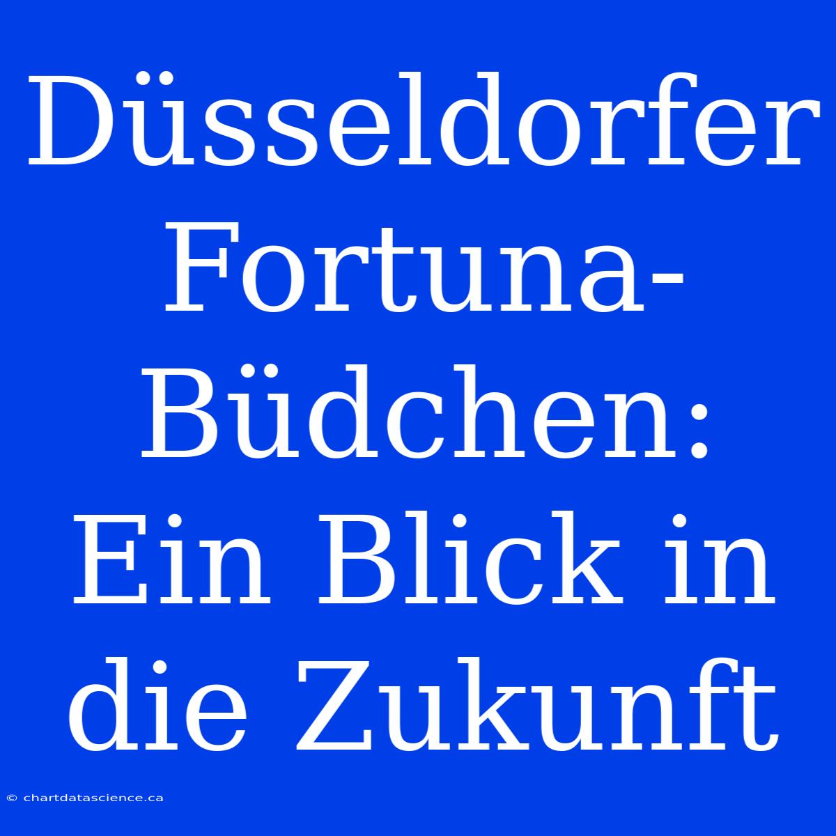 Düsseldorfer Fortuna-Büdchen: Ein Blick In Die Zukunft