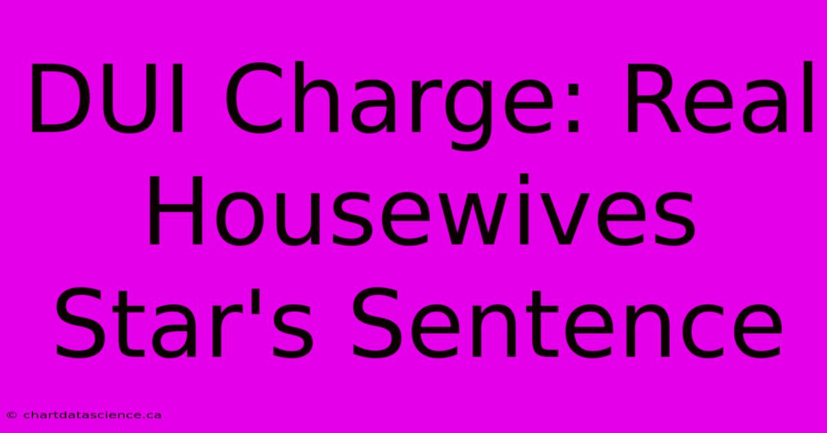 DUI Charge: Real Housewives Star's Sentence