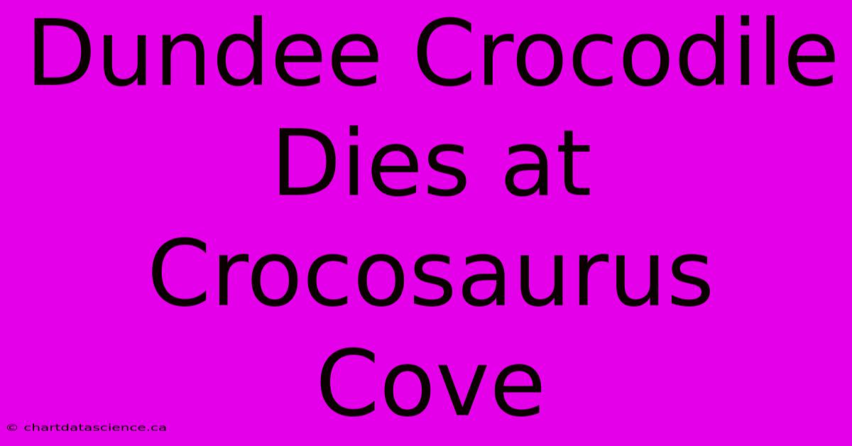 Dundee Crocodile Dies At Crocosaurus Cove