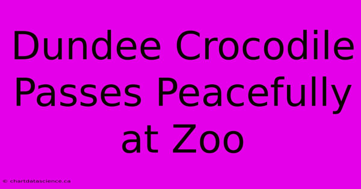 Dundee Crocodile Passes Peacefully At Zoo